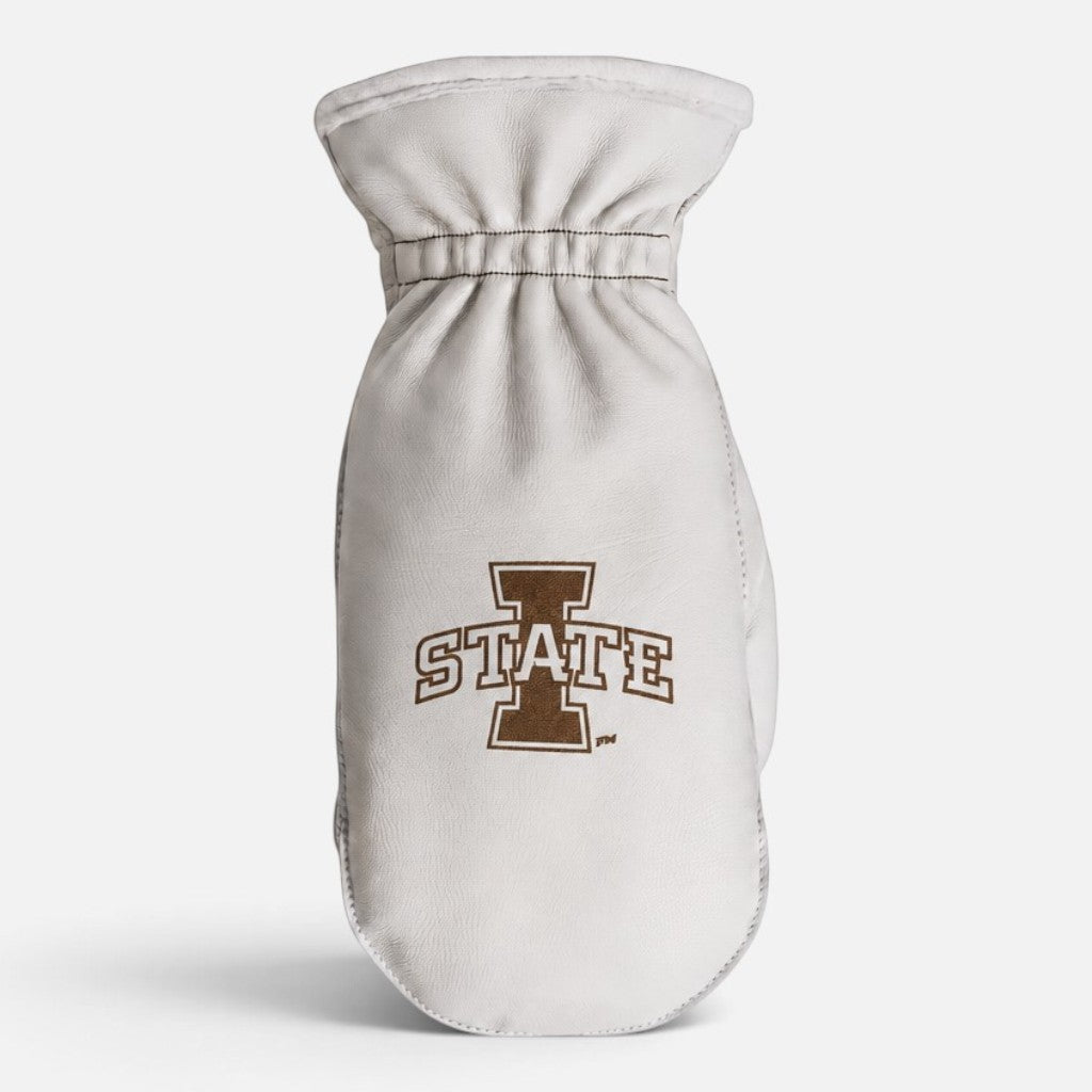 Iowa State University