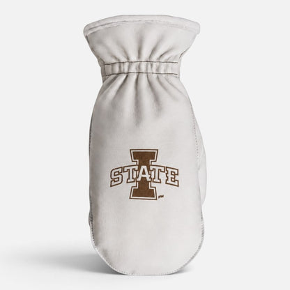 Iowa State University