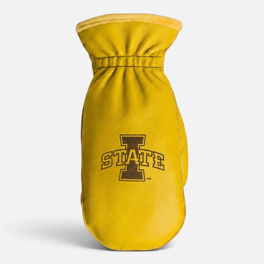 Iowa State University