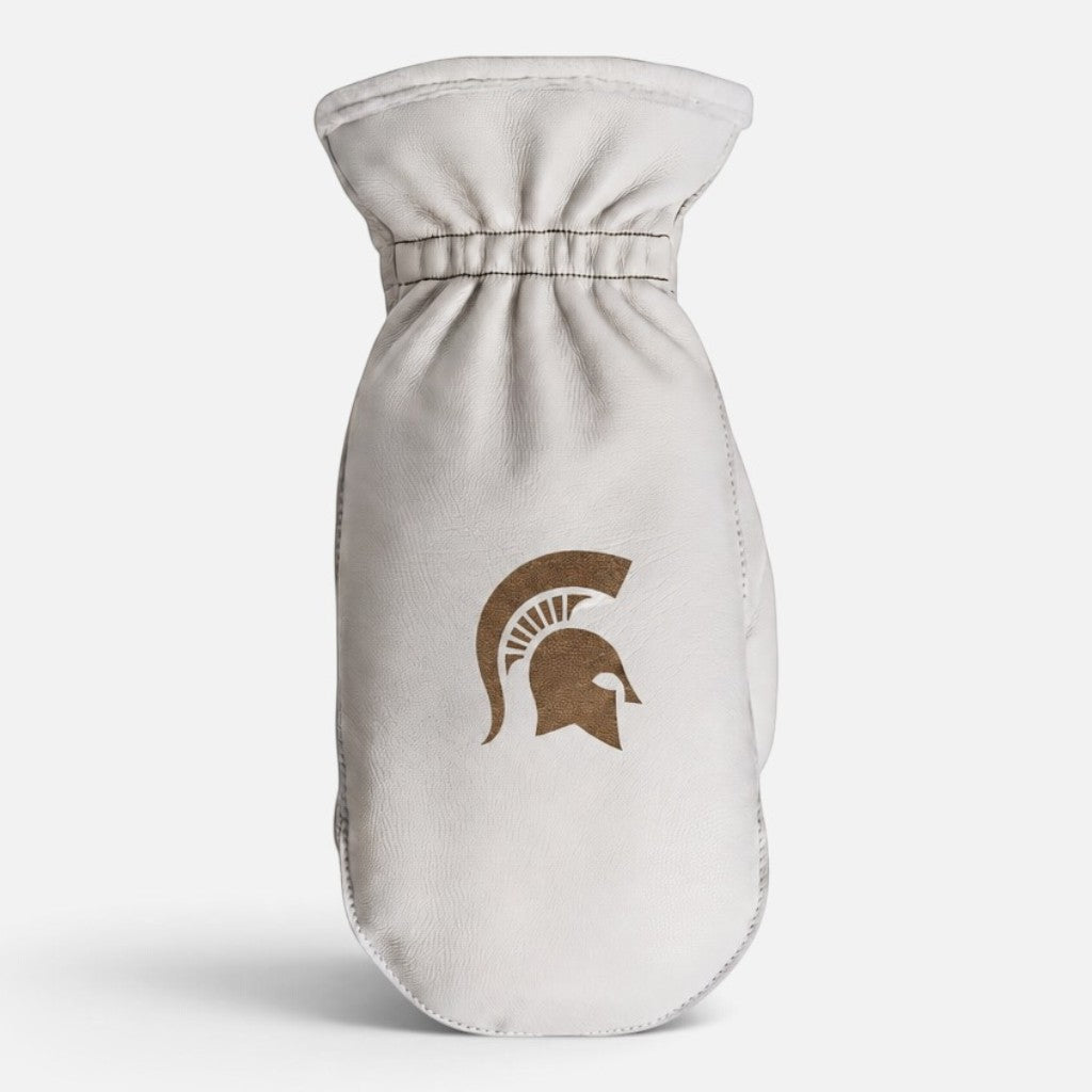 Michigan State University