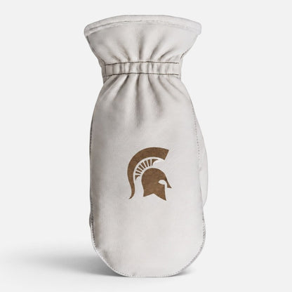Michigan State University