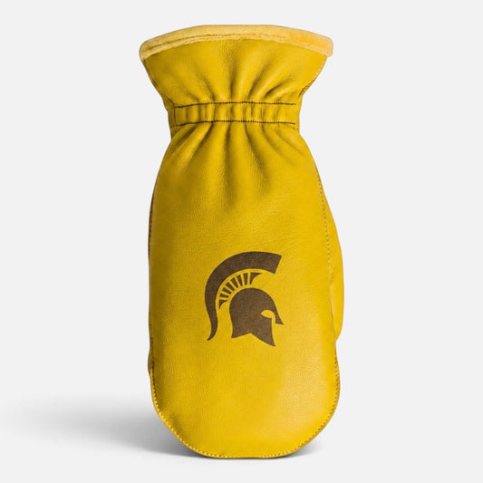 Michigan State University