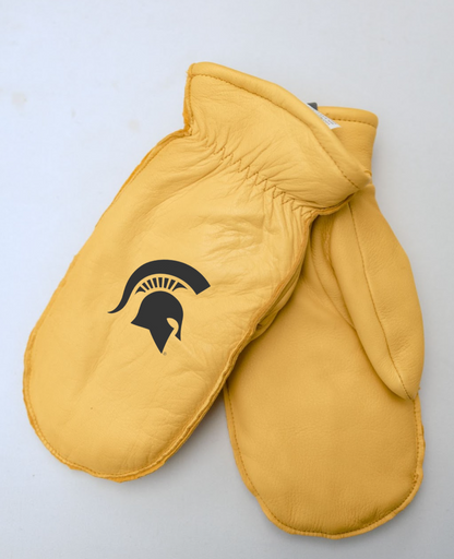 Michigan State University