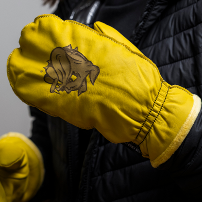 University of Minnesota Duluth