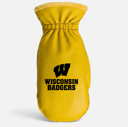 Wisconsin Badgers Choppers