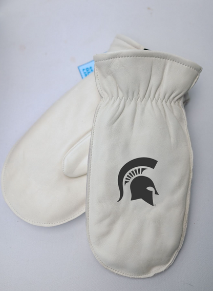 Michigan State University